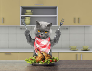 Hungry cat sitting at the table and going to eat chicken