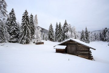 baita in Val Canali, nel parco naturale di Paneveggio - Trentino