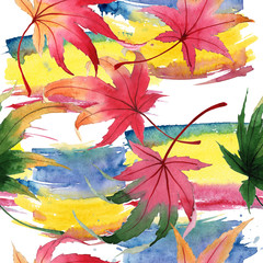 Autumn leaf of maple pattern in a hand-drawn watercolor style. Aquarelle acorn for background, texture, wrapper pattern, frame or border.