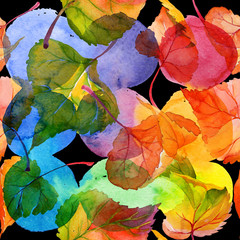 Autumn leaf of poplar pattern in a hand-drawn watercolor style. Aquarelle leaf of poplar for background, texture, wrapper pattern, frame or border.