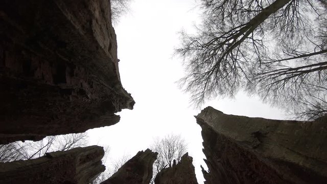 Verrottender Eichenstamm im Naturpark Spessart, Spessarteiche,  Zersetzung, Verg&auml;nglichkeit, Urwald, Laubwald, 4K