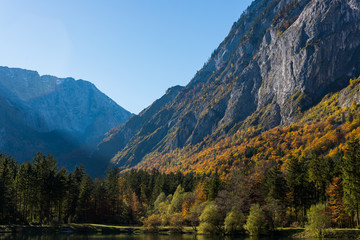 Herbstwald Landschaft Alpen Bluntautal Spätsommer