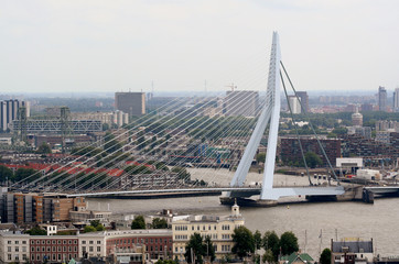 Erasmus bridge in Rotterdam seen from above