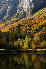 Fototapeta na wymiar Herbstwald Landschaft Alpen 