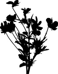 bunch from garden violet flowers on white