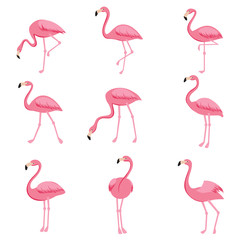 Fototapeta premium Kreskówka różowy wektor zestaw flamingo. Śliczna kolekcja flamingów