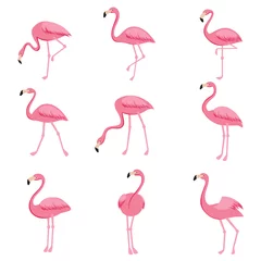 Fotobehang Cartoon roze flamingo vector set. Leuke collectie flamingo& 39 s © MicroOne