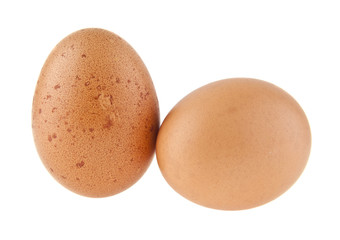 chicken eggs isolated on a white background