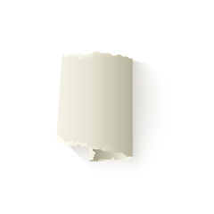 Vector set of torn paper, blank twisted scrap. Notebook paper sheet with ripped edges for your design. Realistic isolated illustration on a white background.