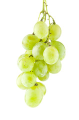 grapes isolated on white background