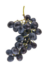 grapes isolated on white background
