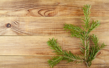 branch of a tree on a wooden background