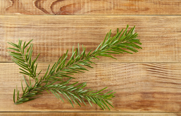 branch of a tree on a wooden background