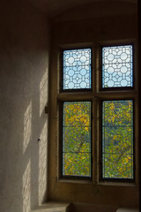 Beautiful look on old window.