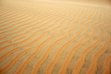 texture of sand dune ripple desert background.