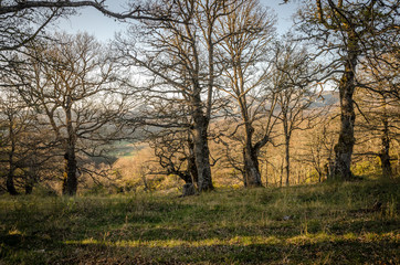 Obraz premium Paisaje de la montaña palentina