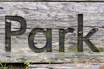 Park sign wooden carving