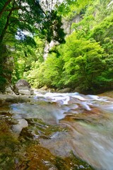 Fototapeta na wymiar 日本の渓流とたき