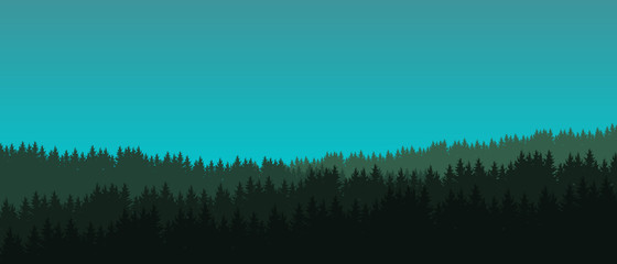 Vector illustration of a coniferous forest