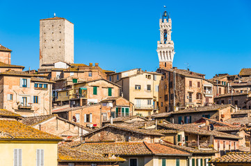 Fototapeta premium View of old centre town Siena in Tuscany, Italy.Rooftops of old city center of Siena, Italy.