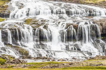 , Strandir Coast, West Fjords, Iceland