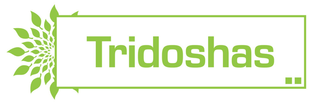 Tridoshas Leaves Circular Bar 