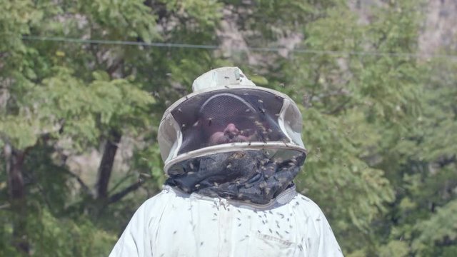 Head and shoulder portrait of beekeeper in protective clothing