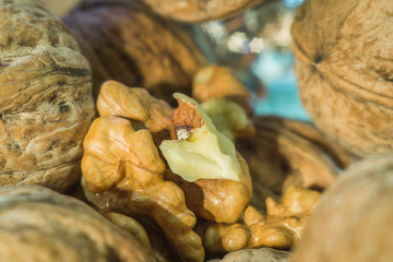peeled walnut close