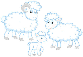 A small white lamb, a sheep and a ram, a vector illustration in cartoon style