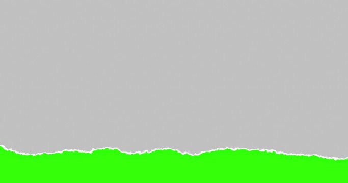 horizontal grey torn paper with multi torn effect on chroma key green screen