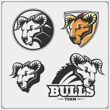 Set of emblems with bull for a sport team.