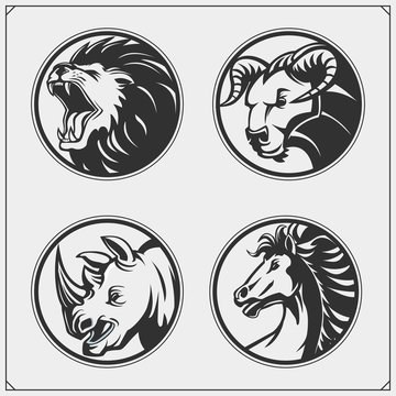 Set of lion, rhino, horse and bull heads.