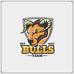 The emblem with bull for a sport team.