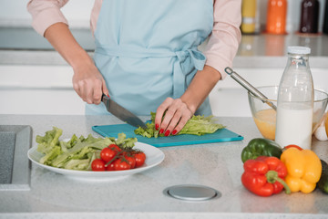 cropped image of woman cutting vegetables for salad