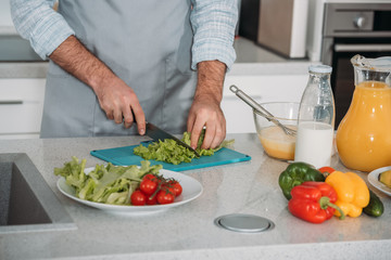 cropped image of man cutting vegetables