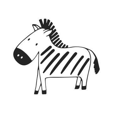 Cute hand drawn nursery poster with zebra in scandinavian style. Vector illustration