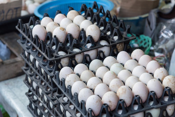 Fresh eggs stall in the fresh Market.