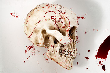 Murder scene, genocide and halloween concept with a skull covered in blood isolated on white background with copy space