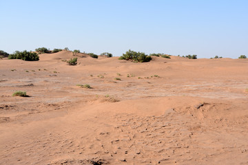 Fototapeta na wymiar Landscape in desert of morocco