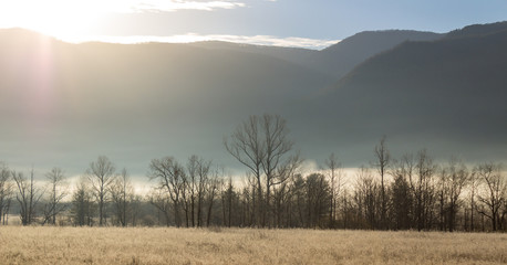 Foggy cades cove morning in great smoky mountains national park