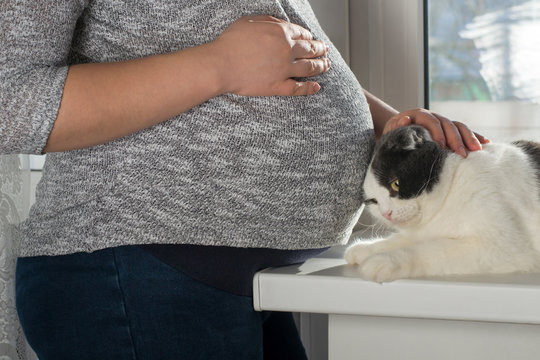 A pregnant woman with a big belly is standing next to cat