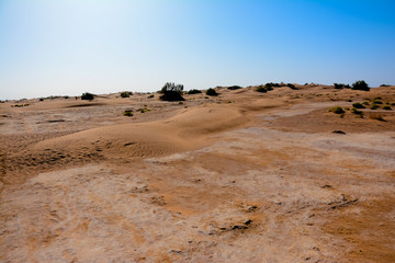 Landscape in desert of  morocco