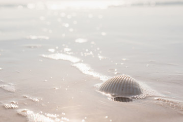 Beautiful beach and little wave with shell and white sand under sunshine in summer soft Focus Beach Background.Thailand.