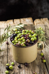 arbequina olives from Spain