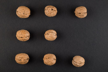 Walnut  in shell