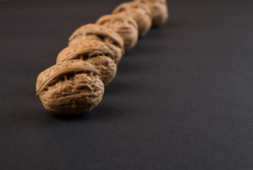 Walnut  in shell