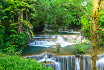 Waterfall Beautiful middle of evergreen