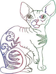 Vector illustration of a cat. Colorful portrait of a cat. Stylized Canadian Sphynx