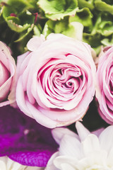 Rose de couleur pastel