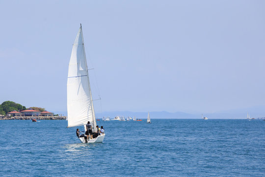 sailboat race